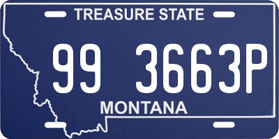 MT license plate 993663P