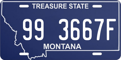 MT license plate 993667F