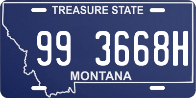 MT license plate 993668H