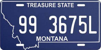 MT license plate 993675L