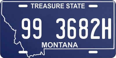 MT license plate 993682H
