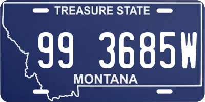 MT license plate 993685W