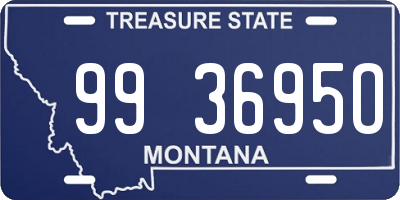 MT license plate 993695O