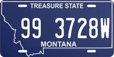 MT license plate 993728W