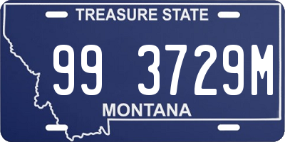 MT license plate 993729M