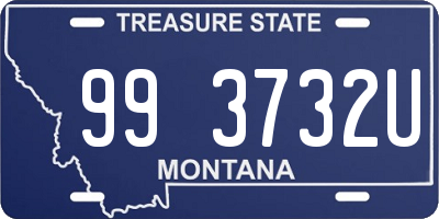 MT license plate 993732U