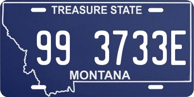 MT license plate 993733E