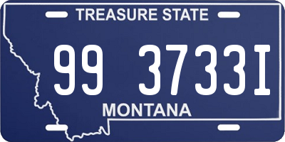 MT license plate 993733I