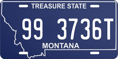 MT license plate 993736T