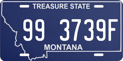 MT license plate 993739F