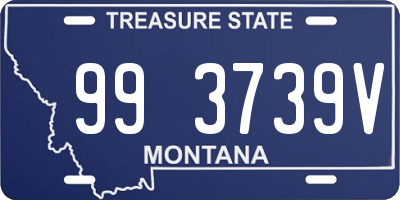 MT license plate 993739V