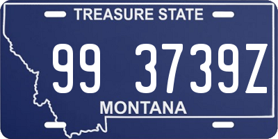 MT license plate 993739Z