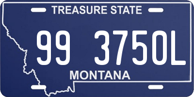 MT license plate 993750L