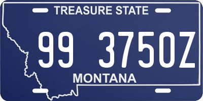 MT license plate 993750Z