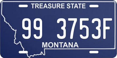 MT license plate 993753F