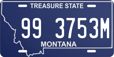 MT license plate 993753M