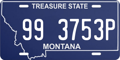 MT license plate 993753P