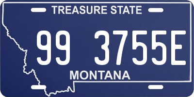 MT license plate 993755E