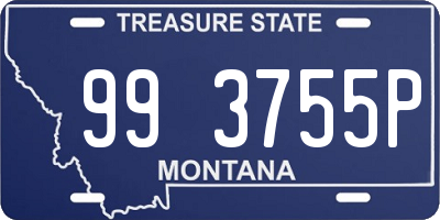 MT license plate 993755P