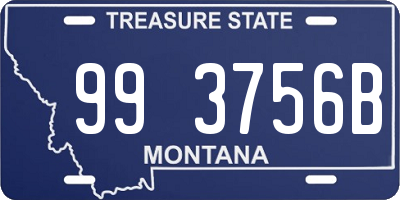 MT license plate 993756B