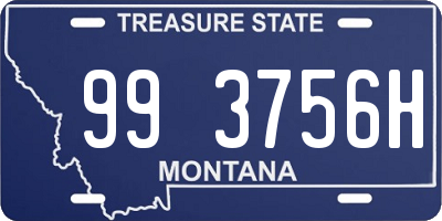 MT license plate 993756H