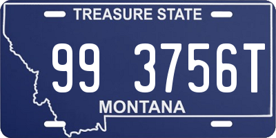 MT license plate 993756T