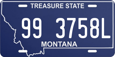 MT license plate 993758L