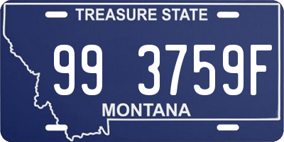 MT license plate 993759F