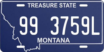 MT license plate 993759L