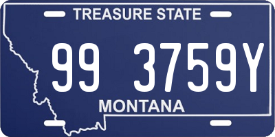 MT license plate 993759Y