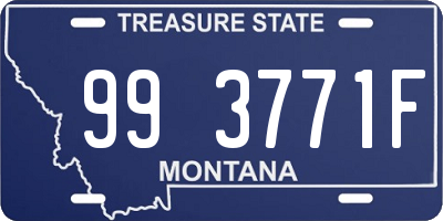 MT license plate 993771F