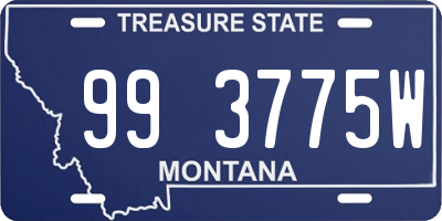 MT license plate 993775W