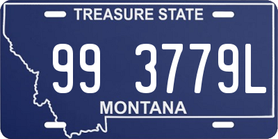 MT license plate 993779L