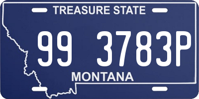 MT license plate 993783P