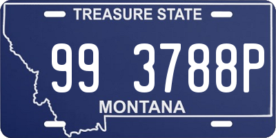 MT license plate 993788P