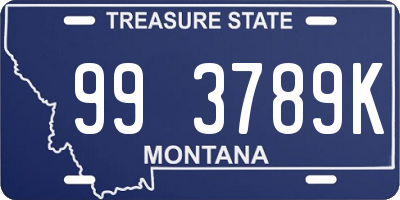 MT license plate 993789K