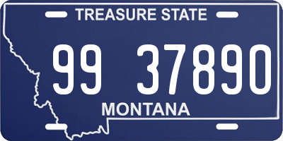 MT license plate 993789O