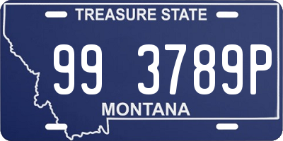 MT license plate 993789P