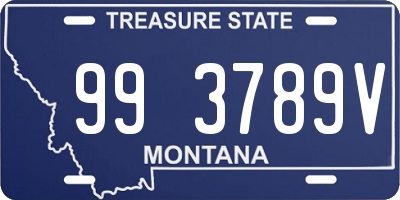 MT license plate 993789V