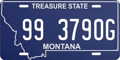 MT license plate 993790G