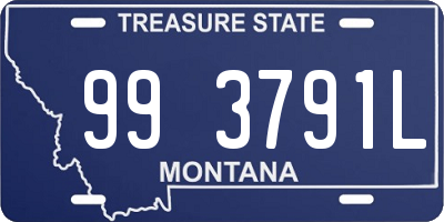 MT license plate 993791L