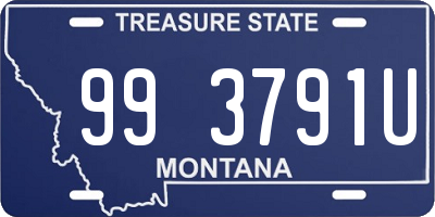 MT license plate 993791U