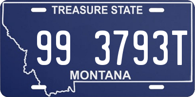 MT license plate 993793T