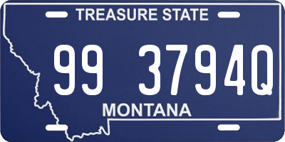 MT license plate 993794Q