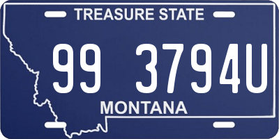 MT license plate 993794U