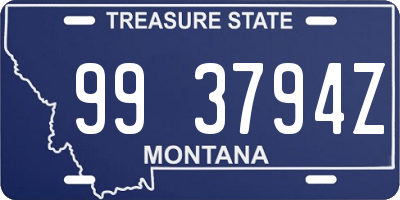 MT license plate 993794Z