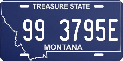 MT license plate 993795E