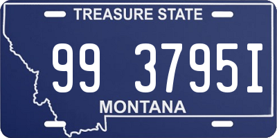 MT license plate 993795I