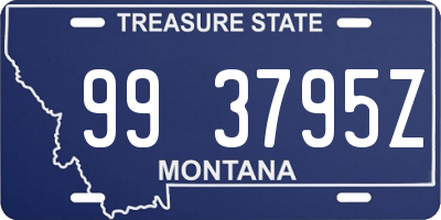 MT license plate 993795Z