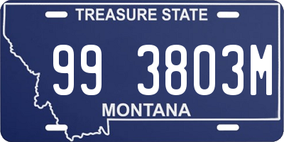 MT license plate 993803M